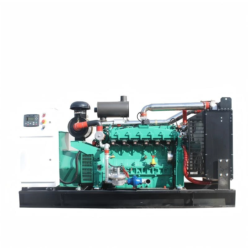 G&eacute;n&eacute;rateur de biogaz de 200 kW GPL 250 kW